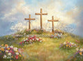 Spring Blessings (CM)